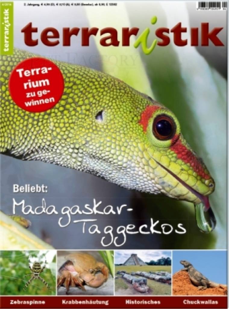 Terraristik 4/2014 - Titelthema: Madagaskar-Taggeckos